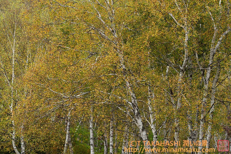 ../Images/7R251013 (97).jpg